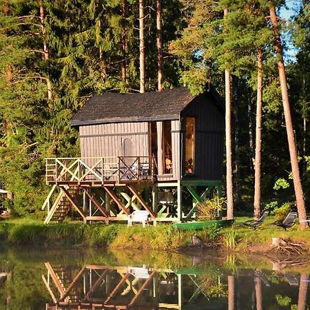 Dragon House In The Tree! Jacuzzi, Sauna ,Cinema,Heated Lici  Buitenkant foto