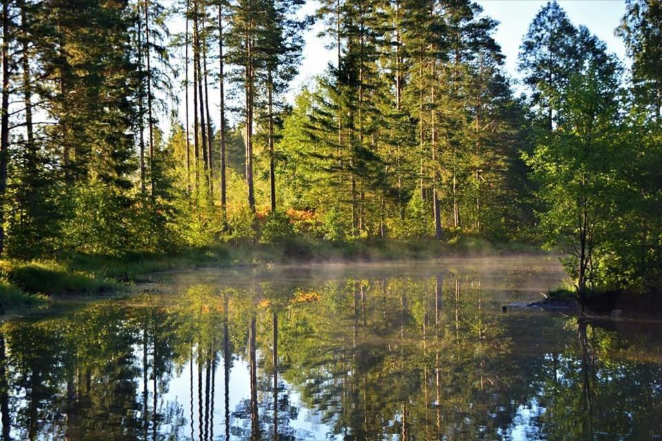 Dragon House In The Tree! Jacuzzi, Sauna ,Cinema,Heated Lici  Buitenkant foto