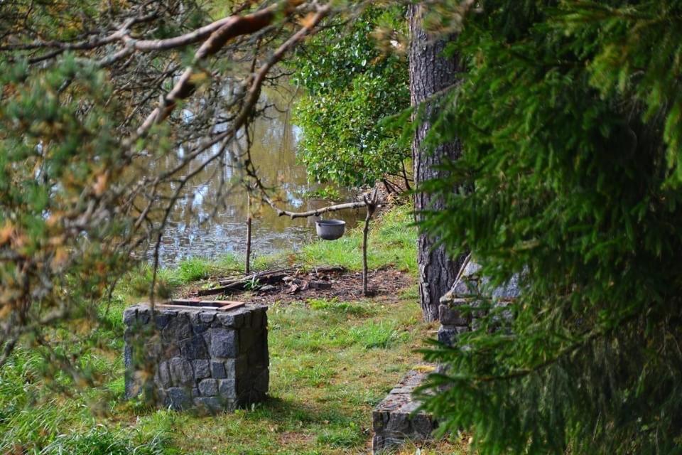 Dragon House In The Tree! Jacuzzi, Sauna ,Cinema,Heated Lici  Buitenkant foto