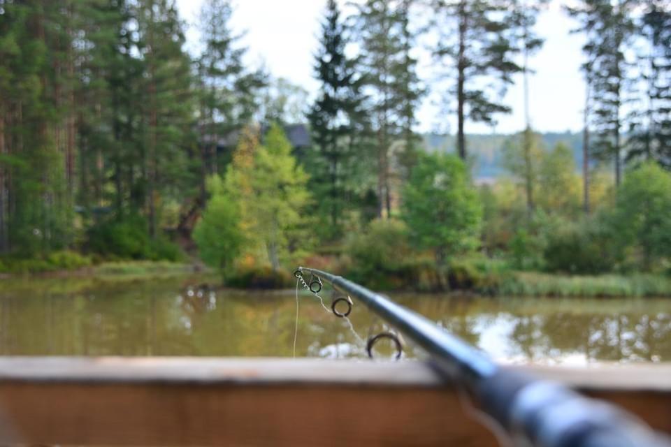 Dragon House In The Tree! Jacuzzi, Sauna ,Cinema,Heated Lici  Buitenkant foto