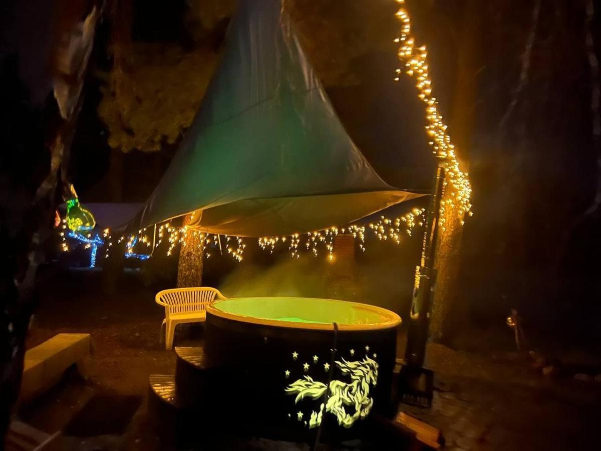 Dragon House In The Tree! Jacuzzi, Sauna ,Cinema,Heated Lici  Buitenkant foto